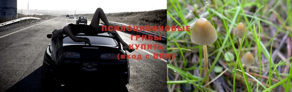 скорость mdpv Абаза