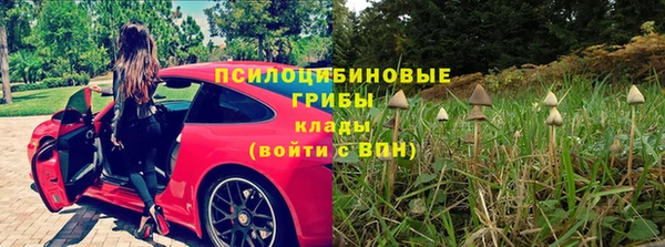 МДПВ Абдулино
