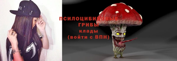 ешки Абинск