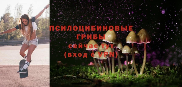 ешки Абинск
