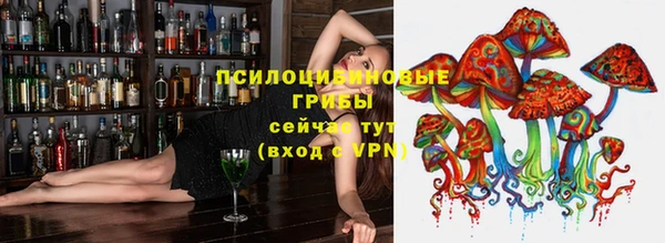 прущие грибы Алексин